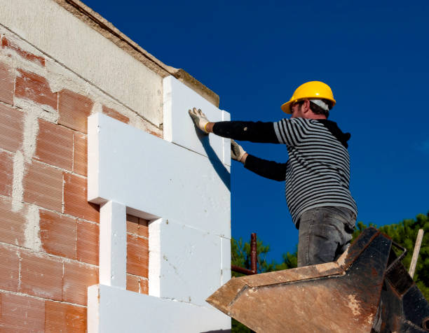 Best Spray Foam Insulation  in Lansing, MI