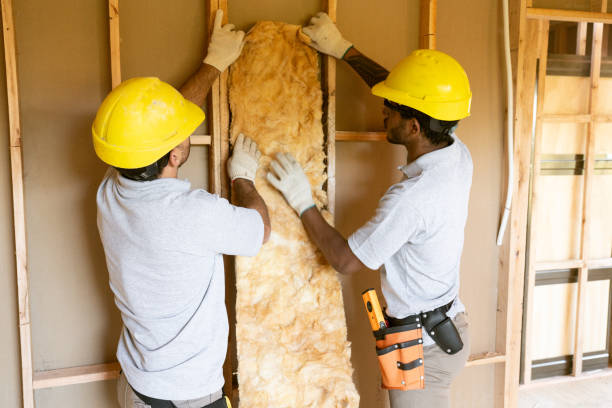 Best Insulation for New Construction  in Lansing, MI