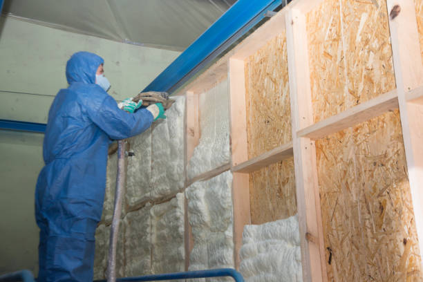 Best Garage Insulation Installation  in Lansing, MI
