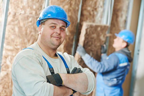 Best Best Insulation Companies  in Lansing, MI